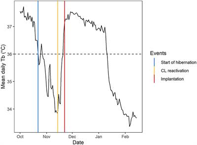 Extrinsic and intrinsic factors drive the timing of gestation and reproductive success of Scandinavian brown bears